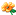 鲜花
